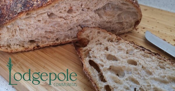 Lodgepole Bakery Pop-up Market