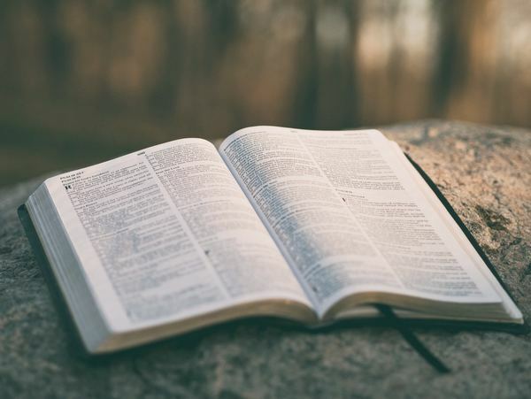 Readings for this Sunday's services