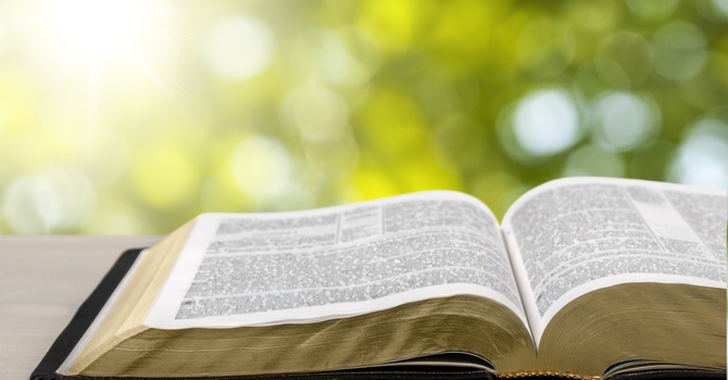 Wednesday Bible Study & Prayer