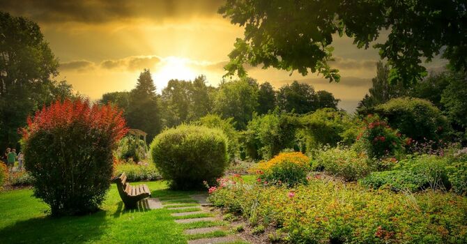 Garden Worship Service