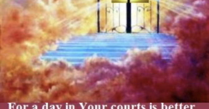 Senior Mission Anniversary