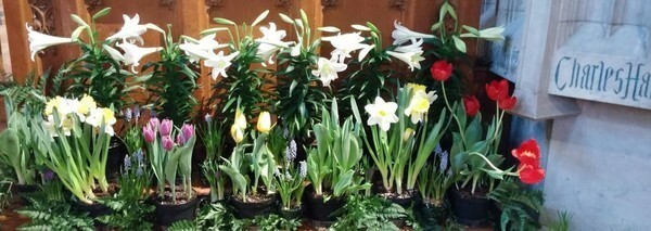 Memorial Flowers for Easter