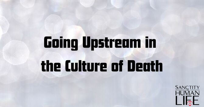 Going Upstream in the Culture of Death