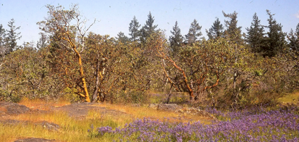 What is a Land Sharing Network?