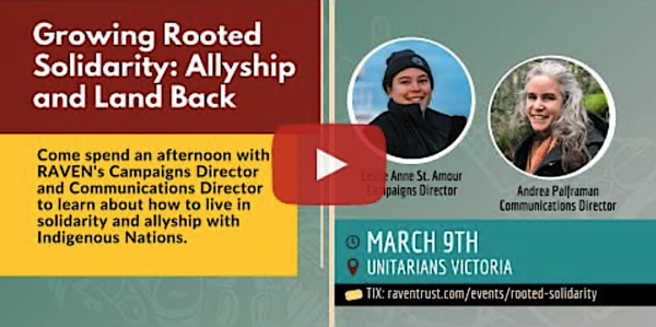 Rooted Solidarity