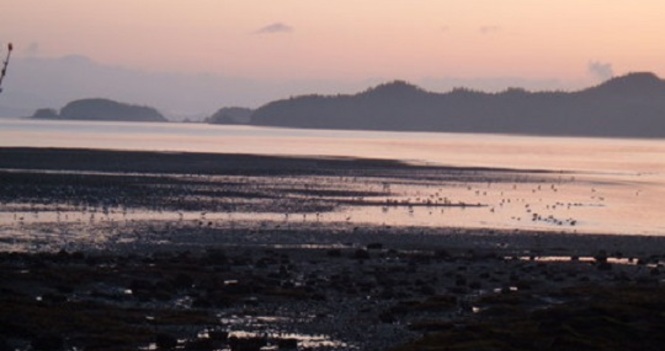 Easter Sunrise Service