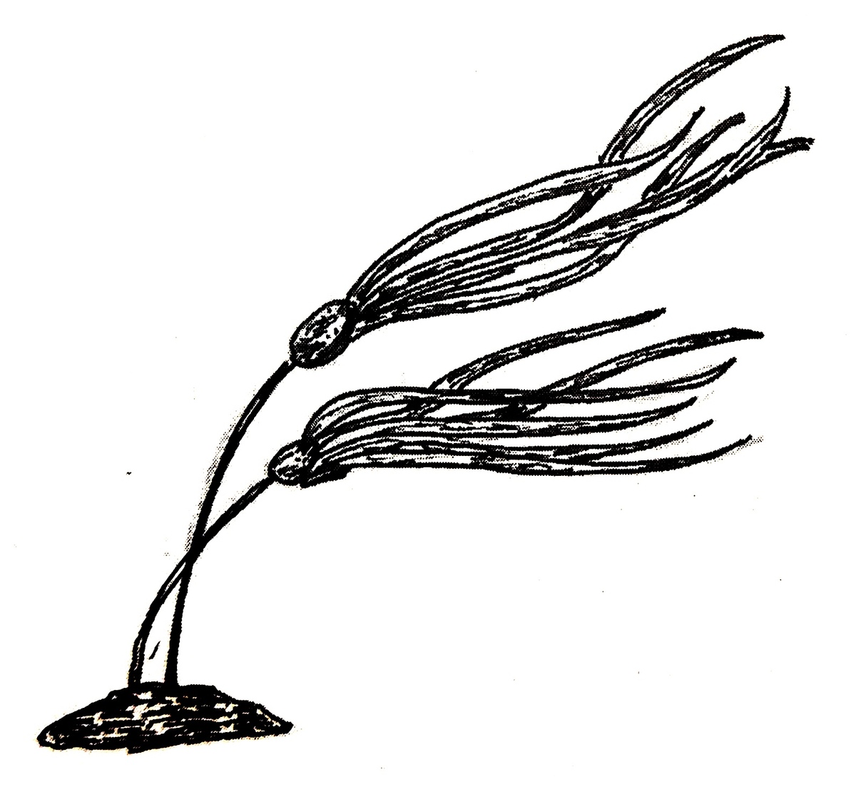 resurrection-worship-and-music-james-bay-united-church