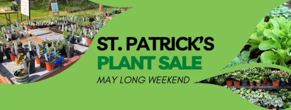 St. Patrick's Lower Stafford Plant Sale