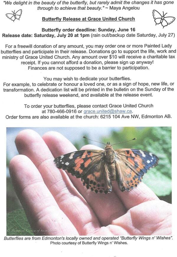 Butterflies