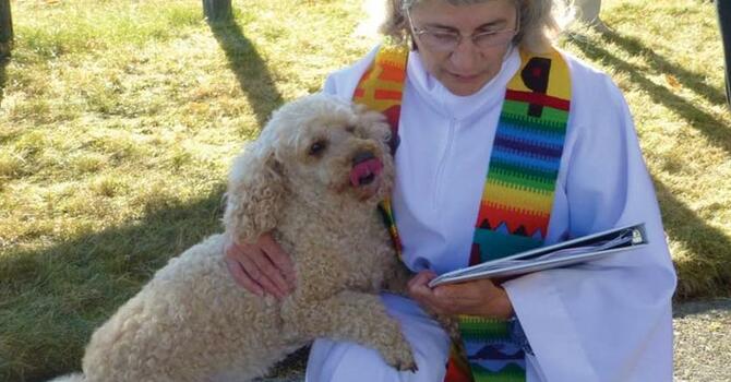 Pet Blessing in Powell River image