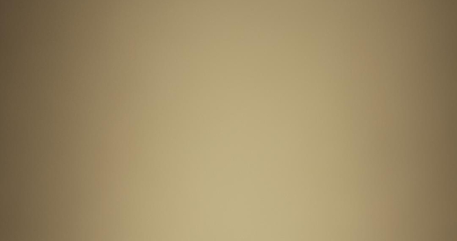 Annual Congregational Meeting ~ March 1, 2026