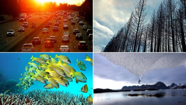 Climate Action-Every Step Counts!