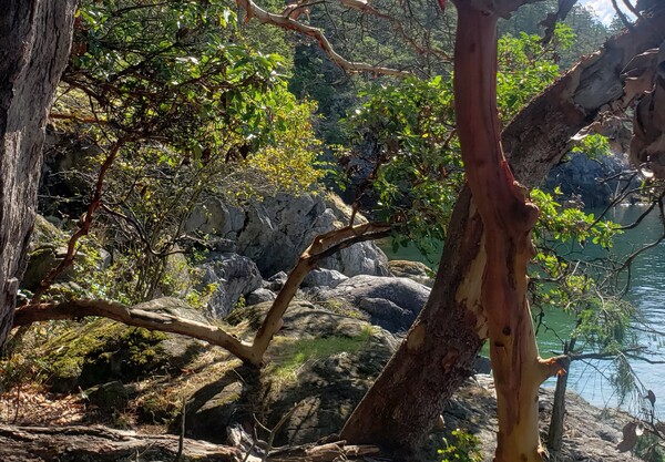 The week of Sept 8, 2024