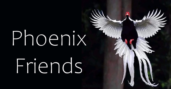 Phoenix Friends
