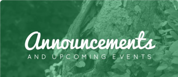 What's happening at St. Anne's