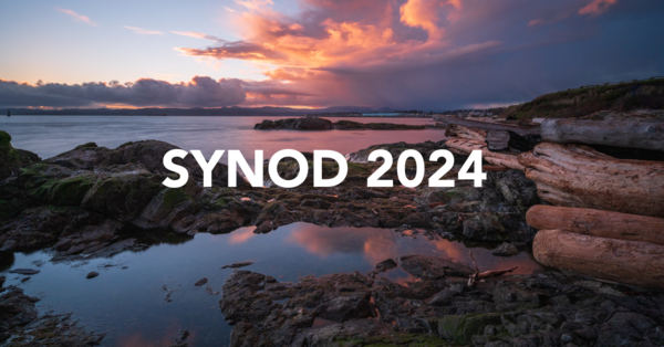 Welcome and Introduction to Synod 2024 