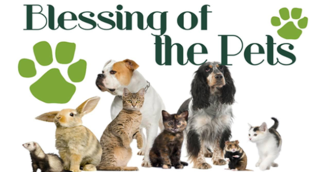 Blessing of the Pets