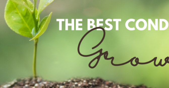 The Best Conditions for Growth image