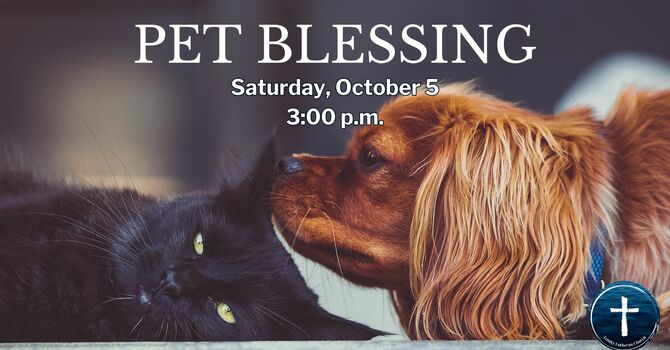 Pet Blessing