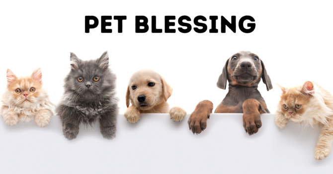 Pet Blessing