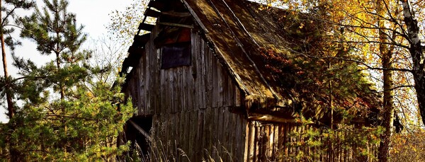 The week of Nov 3, 2024