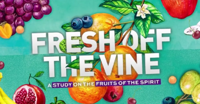 fresh off the vine