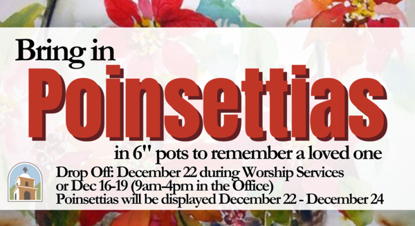 Poinsettias to Remember a Loved One