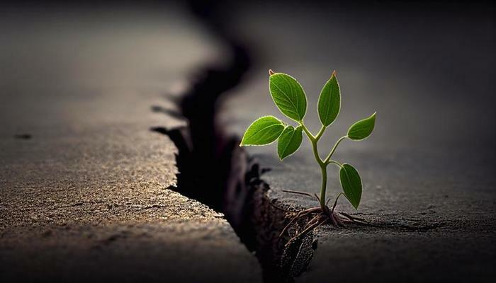 New Life Christian Fellowship United Pentecostal Church 2