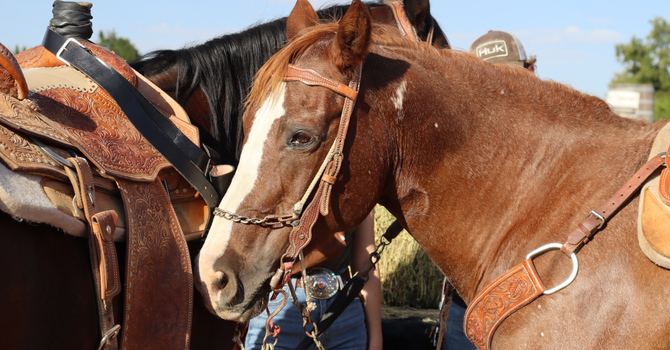 Cowboy Up International Conference