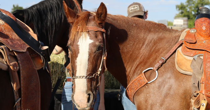 Cowboy Up International Conference