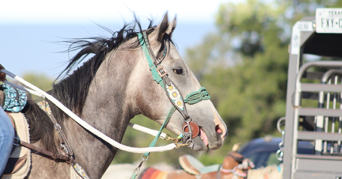 Cowboy Up International Conference