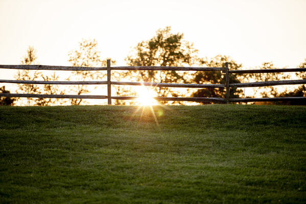 Ser Testigo de lo Sobrenatural