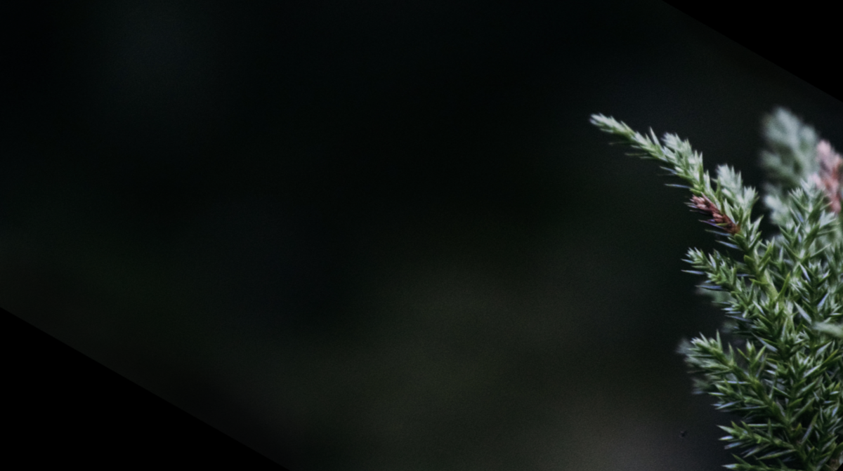 Glendale Presbyterian Church