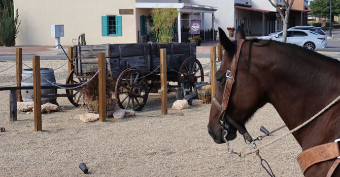 Cowboy Up International Conference