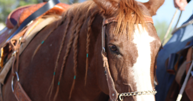 Cowboy Up International Conference