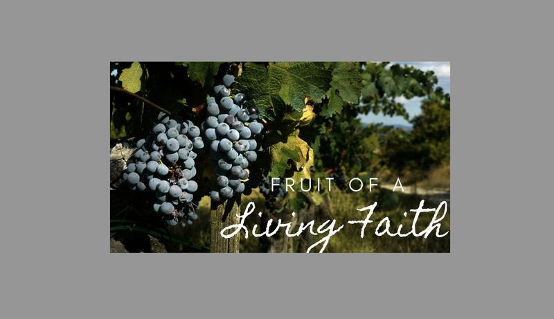 Fruit of a Living Faith; Week 2: Abide // Mary Kate ...