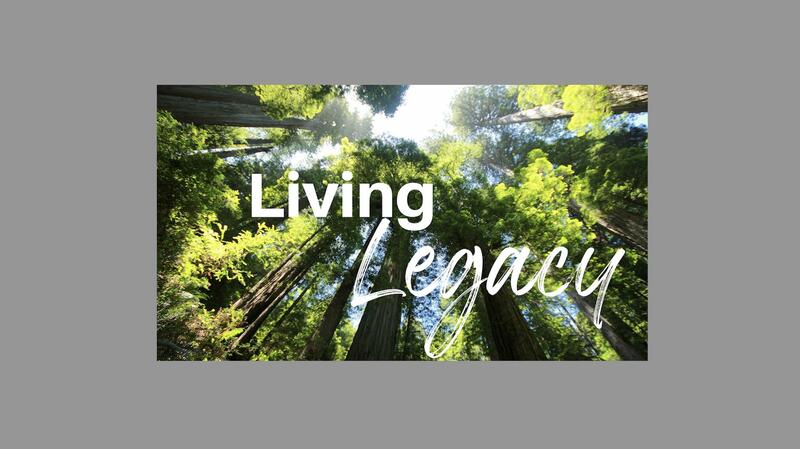 Living Legacy, Wk 2: The Requirements of Legacy // S...