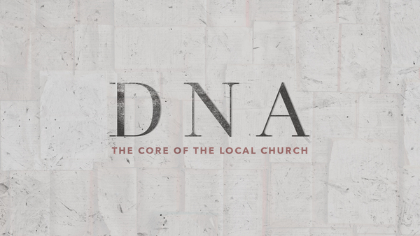 DNA - Our Vision