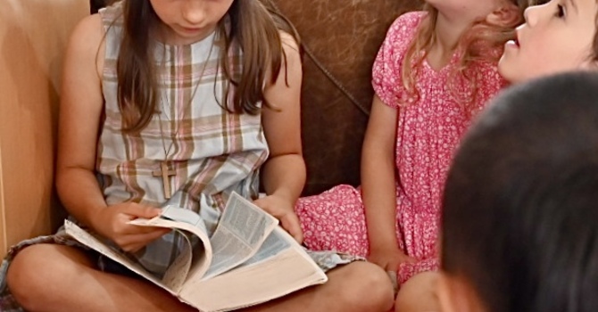 Shoreline in the Park