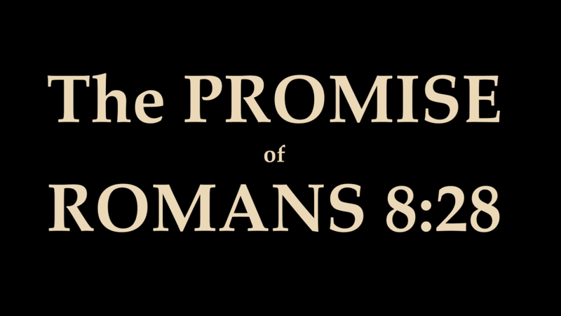 The Promise
