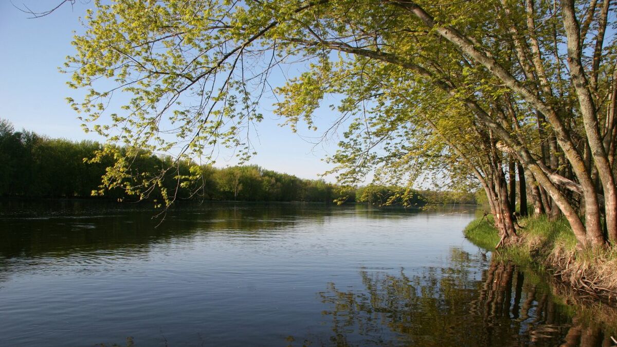 Trinity Lutheran Church