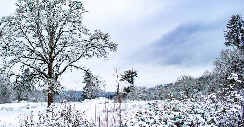 In the Event of Extreme Weather