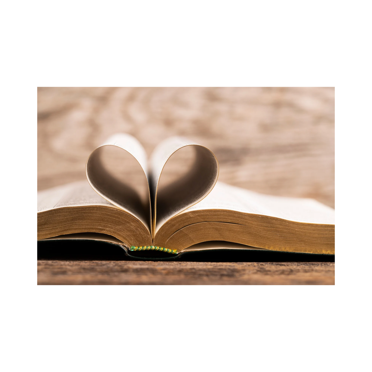 biblical-literacy-piercing-faith-church