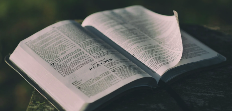 Applying God's Word
