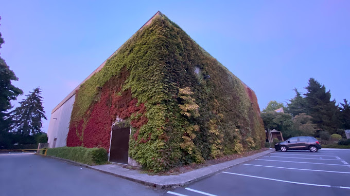 Peace Mennonite Church 4