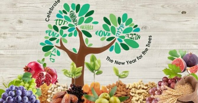 Tu B'Shvat - New Year of Trees