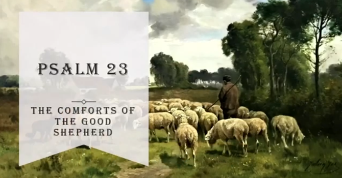 The Comforts of the Good Shepherd