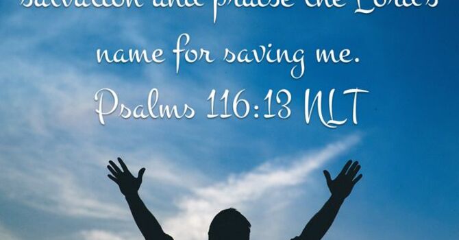 How NOT to Lose Your Heart  image