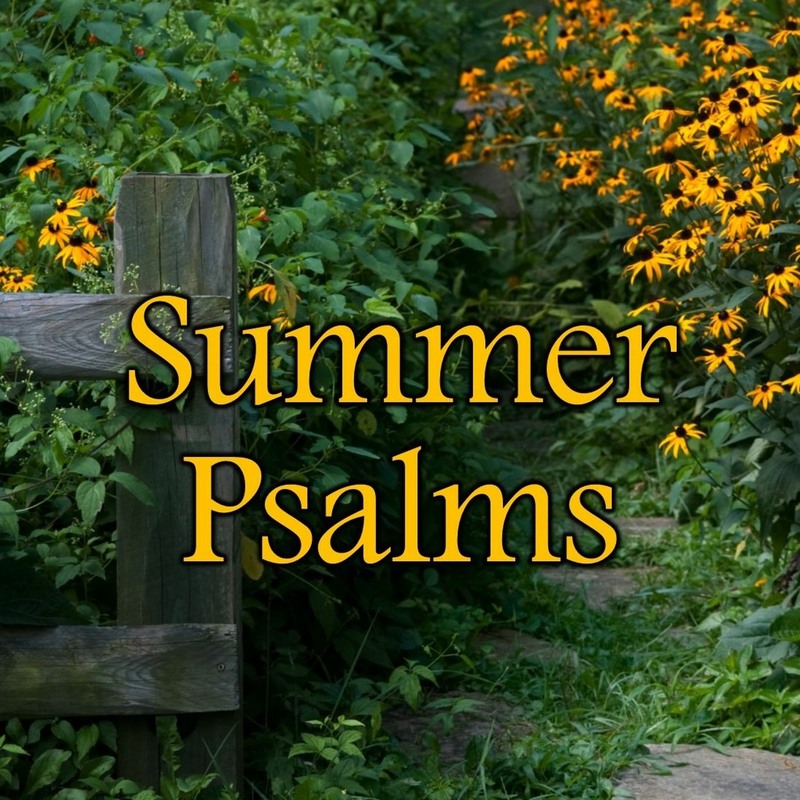 Psalm 23 – God’s Medicine for Worry, Anxiety, and Fear