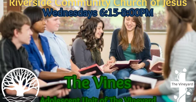 The Vines Youth Ministry